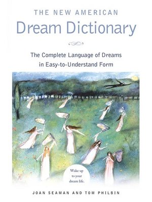 cover image of The New American Dream Dictionary